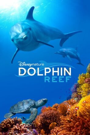 Dolphin Reef (2018)