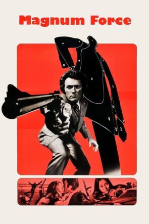 Silahın Gücü (1973)